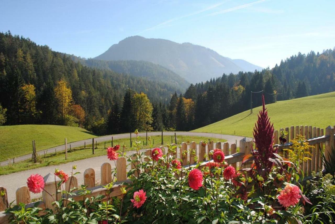 Farm stay Familienbauernhof Glockriegl